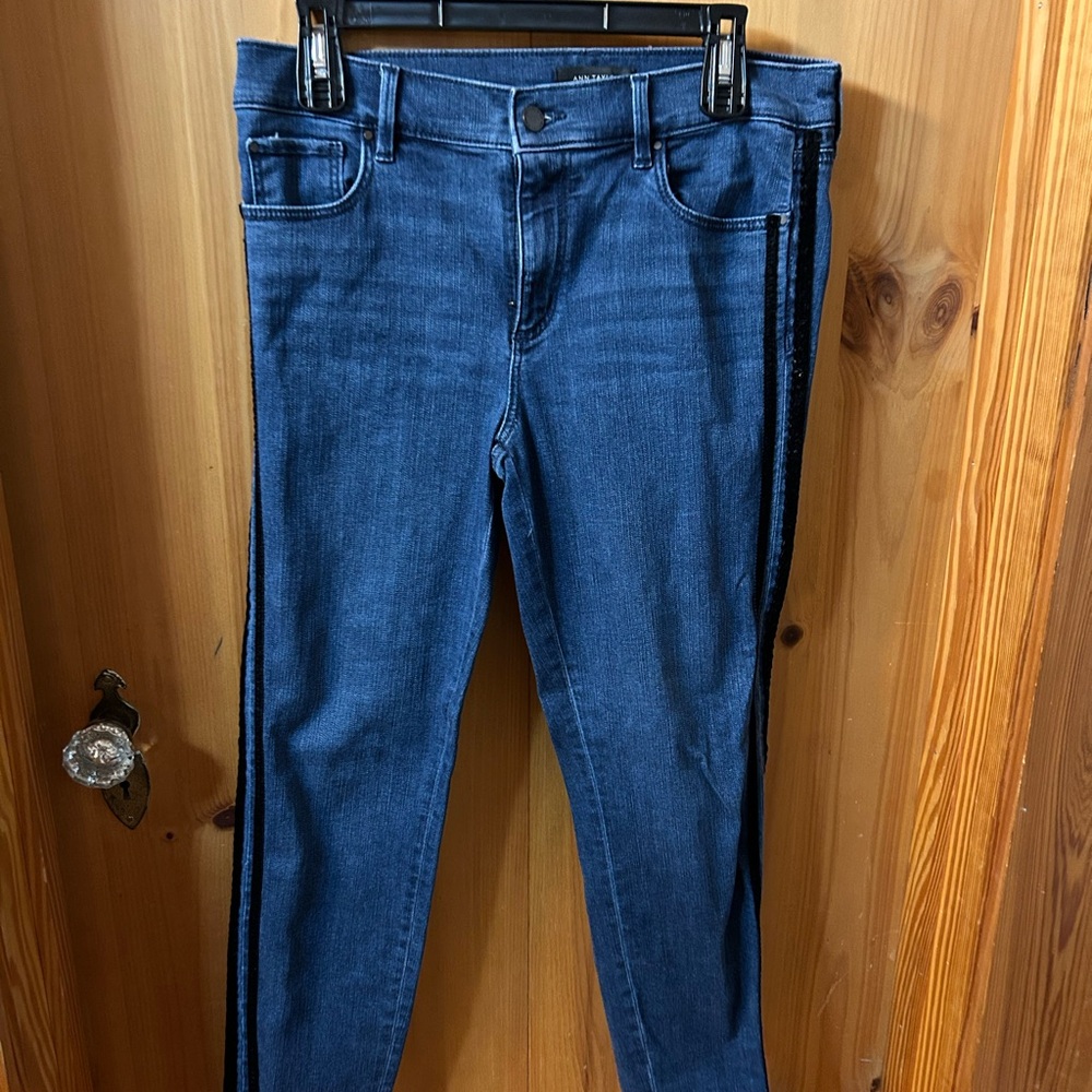 Ann Taylor Indigo Skinny Jeans